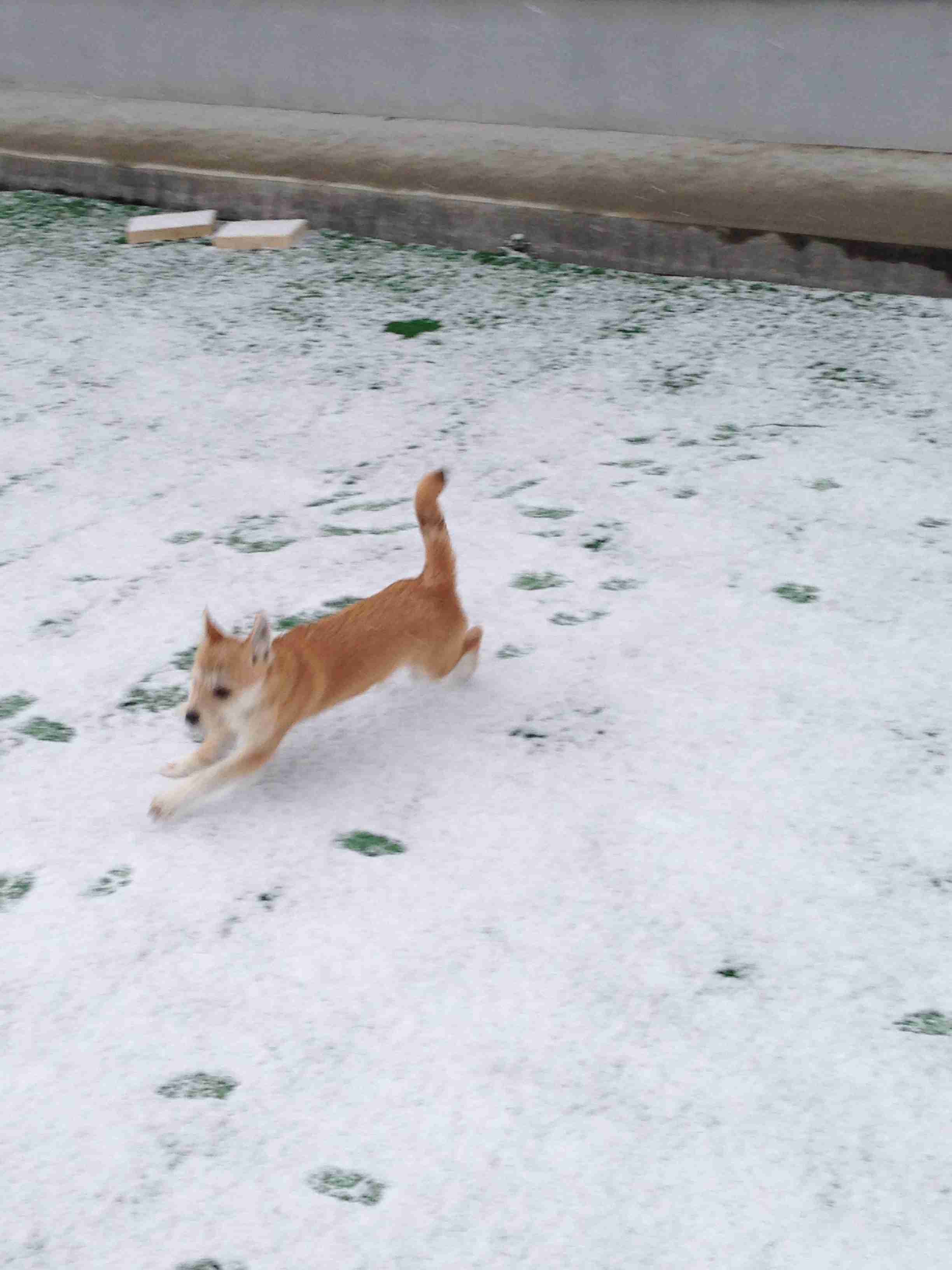 今いる場所の雪の様子を教えてください