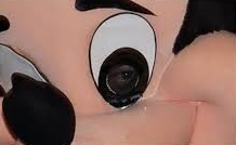 有名人の本性を見抜いてた人、見抜き方教えてください！