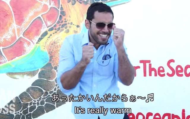 画像に間違った解説をつけるトピ