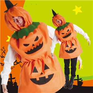 画像に間違った解説をつけるトピ