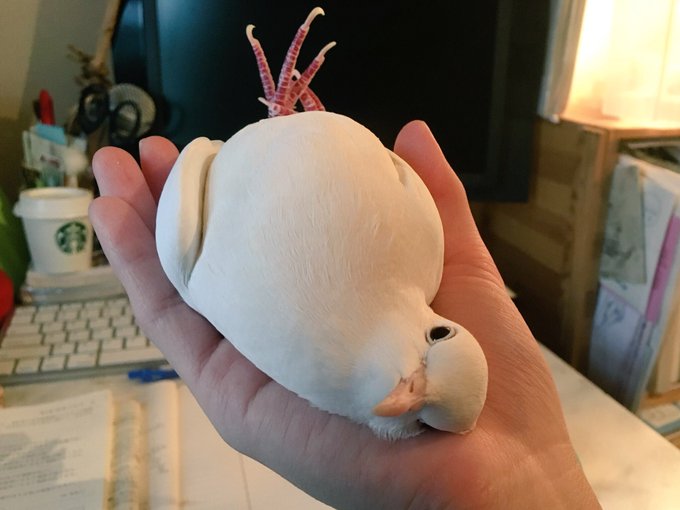 画像に間違った解説をつけるトピ