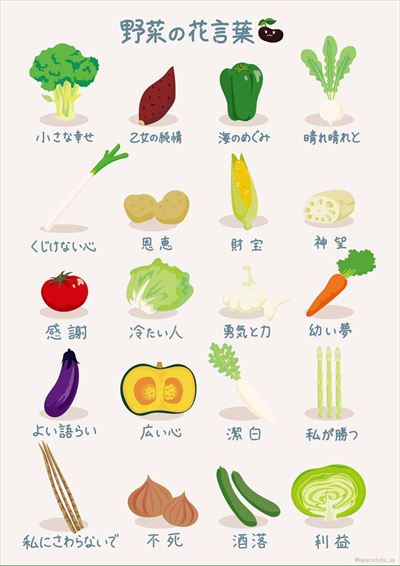 画像に間違った解説をつけるトピ