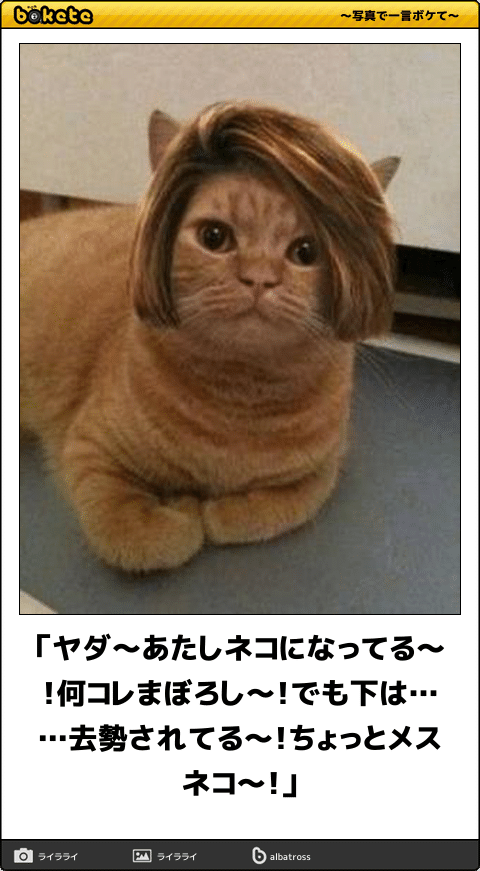画像に間違った解説をつけるトピ