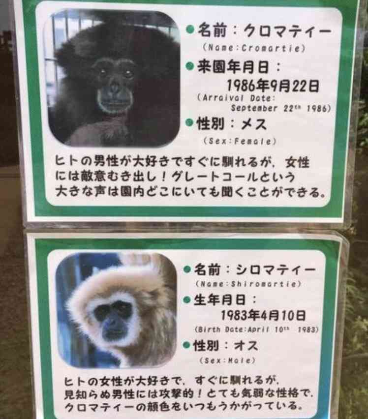 動物園で好きな動物は
