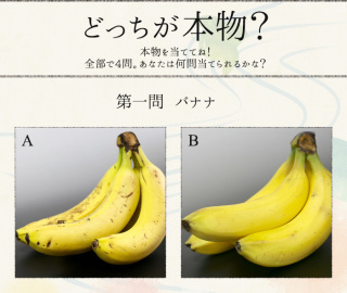 ◆画像◆サンプルと本物を見極めるトピ