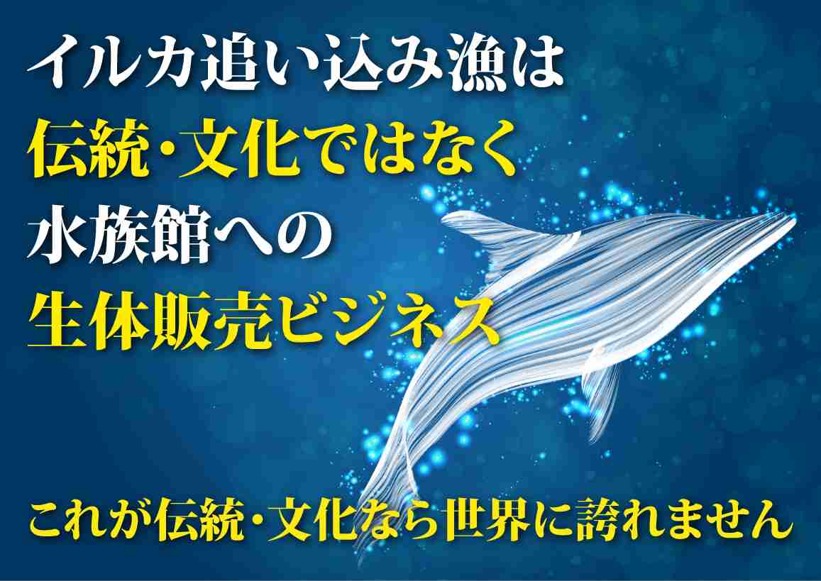 インターネットで知った衝撃の事実を教えてください