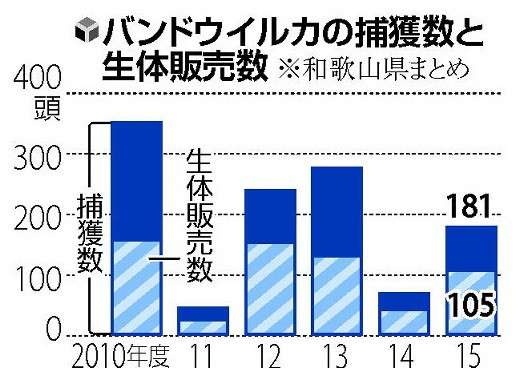 インターネットで知った衝撃の事実を教えてください