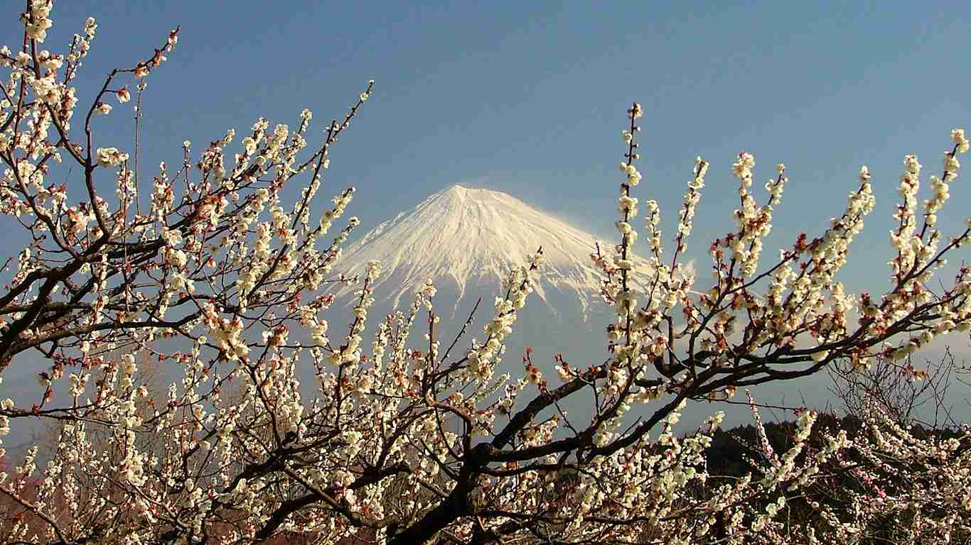 頼んだ画像を誰かに貼ってもらうトピ