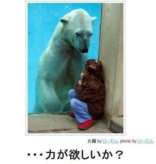 頼んだ画像を誰かに貼ってもらうトピ