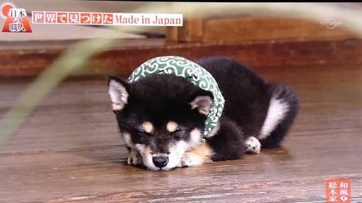 頼んだ画像を誰かに貼ってもらうトピ