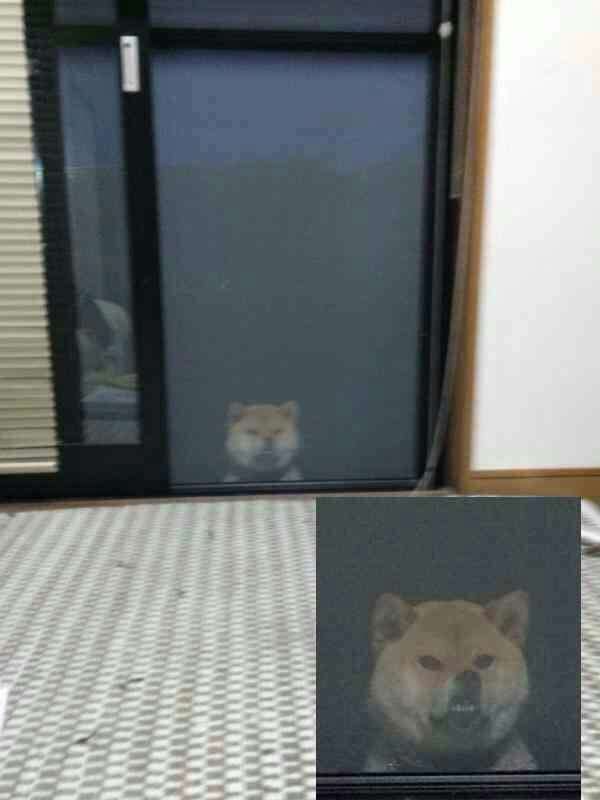 頼んだ画像を誰かに貼ってもらうトピ