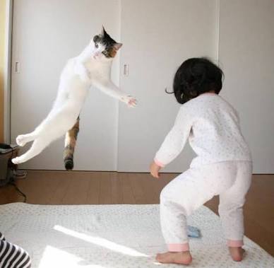 頼んだ画像を誰かに貼ってもらうトピ