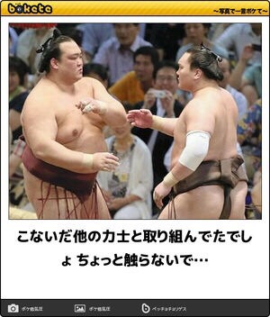 最近発見した面白い画像