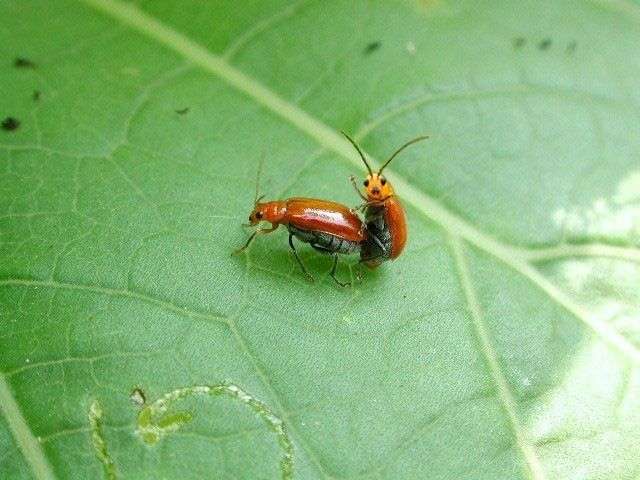 最近発見した面白い画像