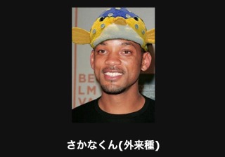 最近発見した面白い画像