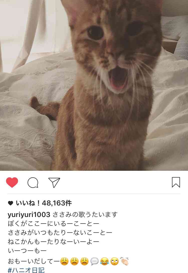 【実況・感想】「逃げるは恥だが役に立つ」最終回（15分拡大SP！）