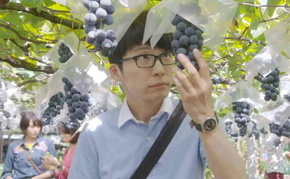 【実況・感想】「逃げるは恥だが役に立つ」最終回（15分拡大SP！）