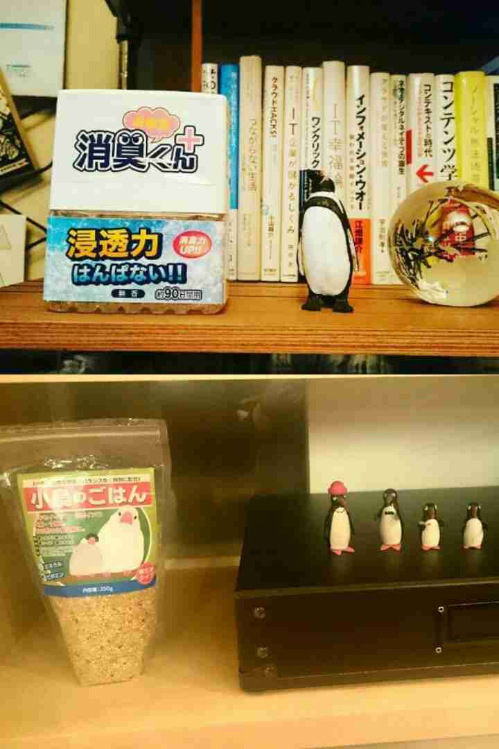 【実況・感想】「逃げるは恥だが役に立つ」最終回（15分拡大SP！）