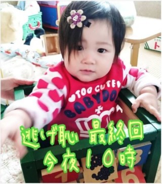 【実況・感想】「逃げるは恥だが役に立つ」最終回（15分拡大SP！）