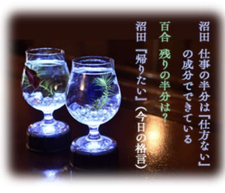 【実況・感想】「逃げるは恥だが役に立つ」最終回（15分拡大SP！）