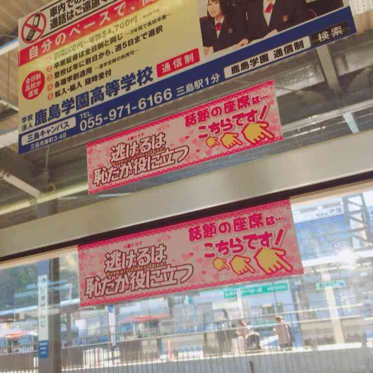 【実況・感想】「逃げるは恥だが役に立つ」最終回（15分拡大SP！）