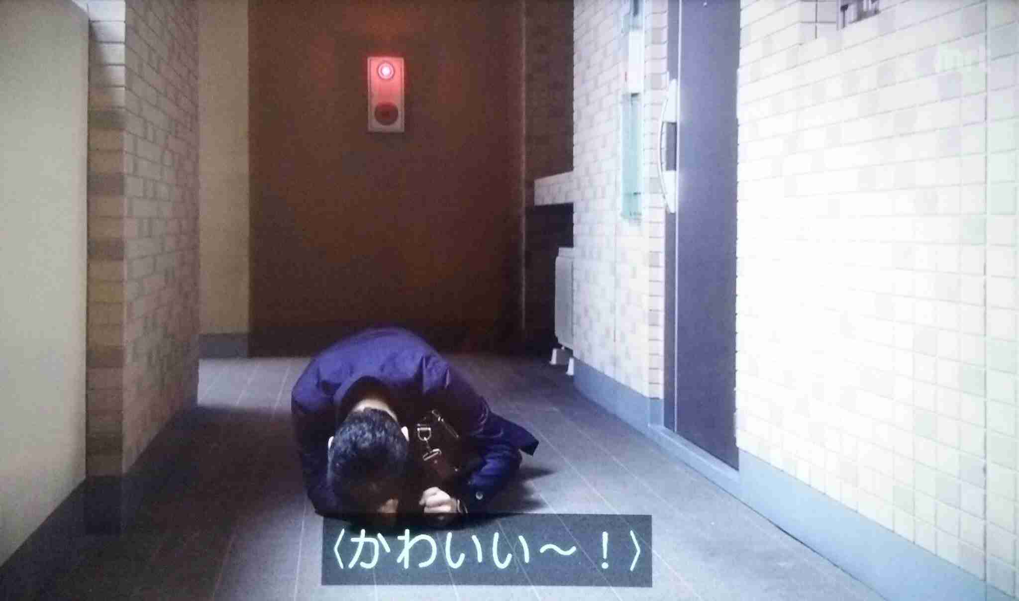 【実況・感想】「逃げるは恥だが役に立つ」最終回（15分拡大SP！）