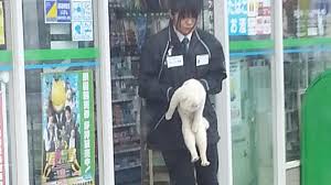 保存したら負け！きゃわい〜動物の画像！