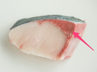 魚好きな人集まれ～