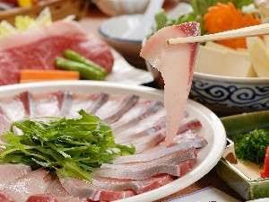 魚好きな人集まれ～