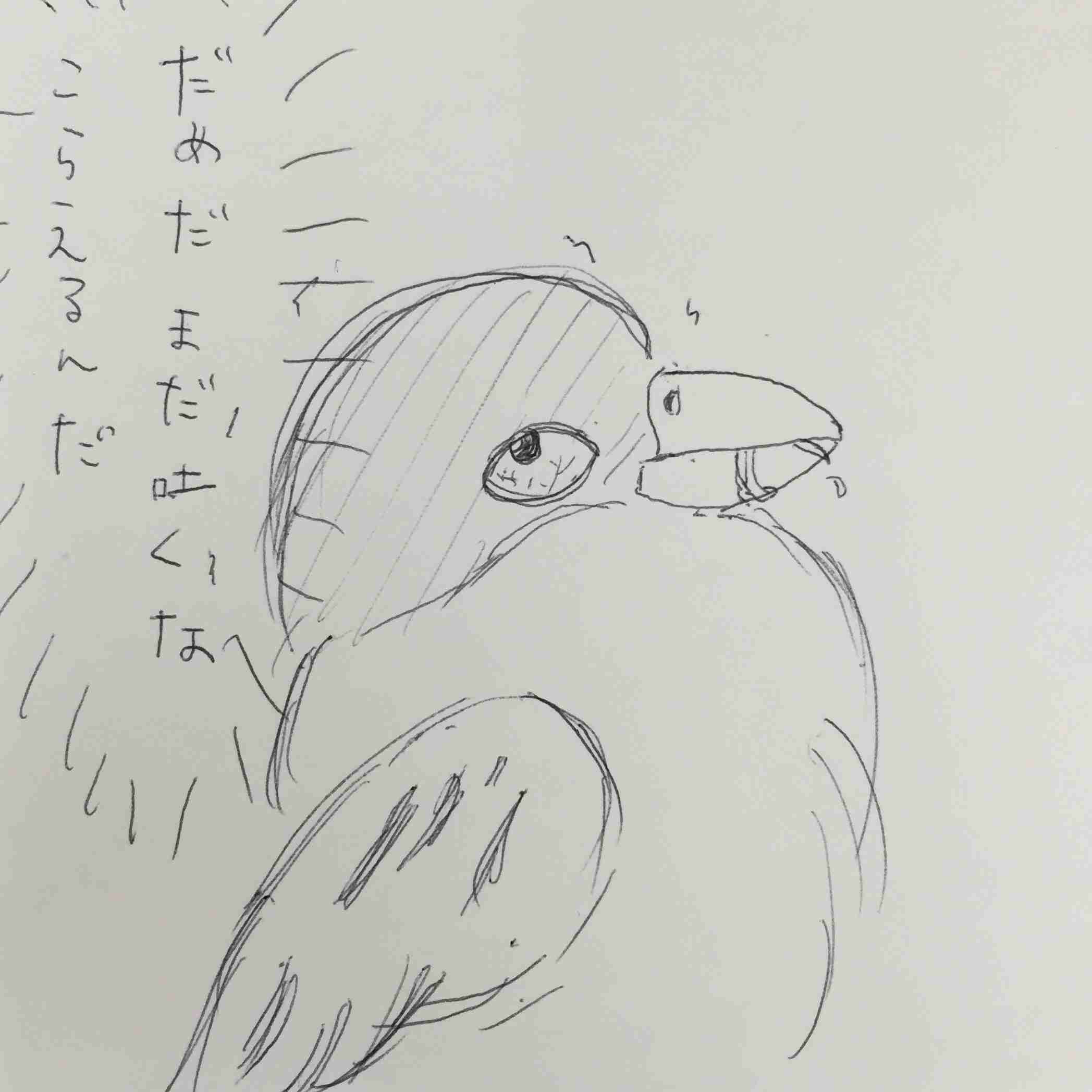 【絵トピ】ガルちゃん村