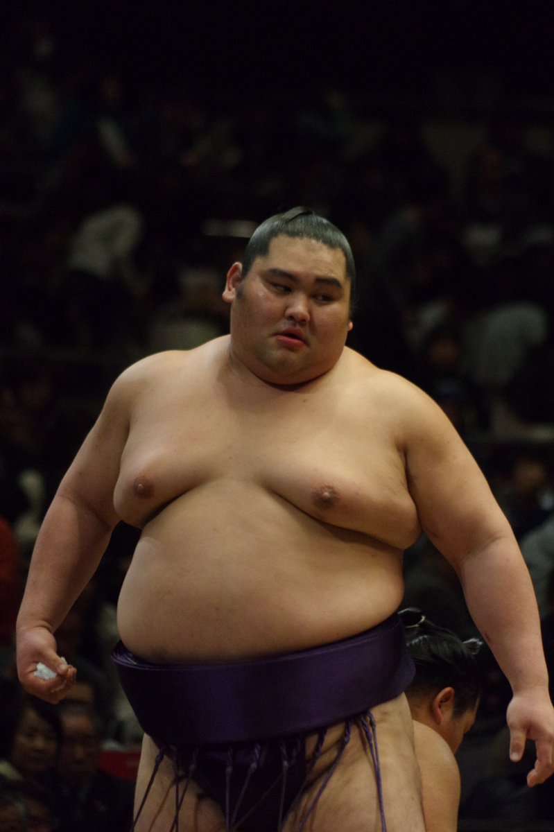 お相撲さんアルバムー年越し編ー