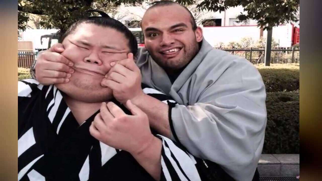 お相撲さんアルバムー年越し編ー