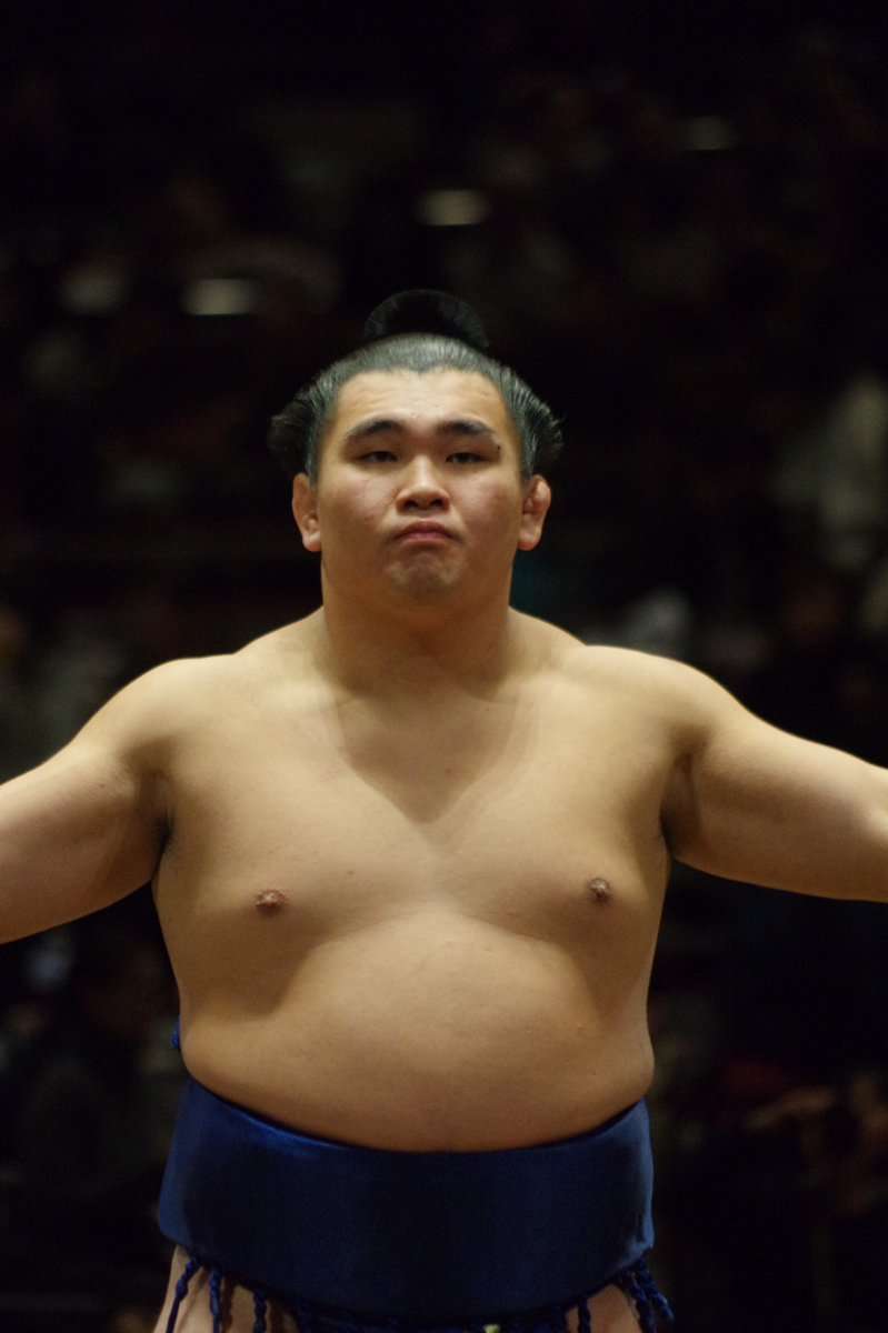 お相撲さんアルバムー年越し編ー