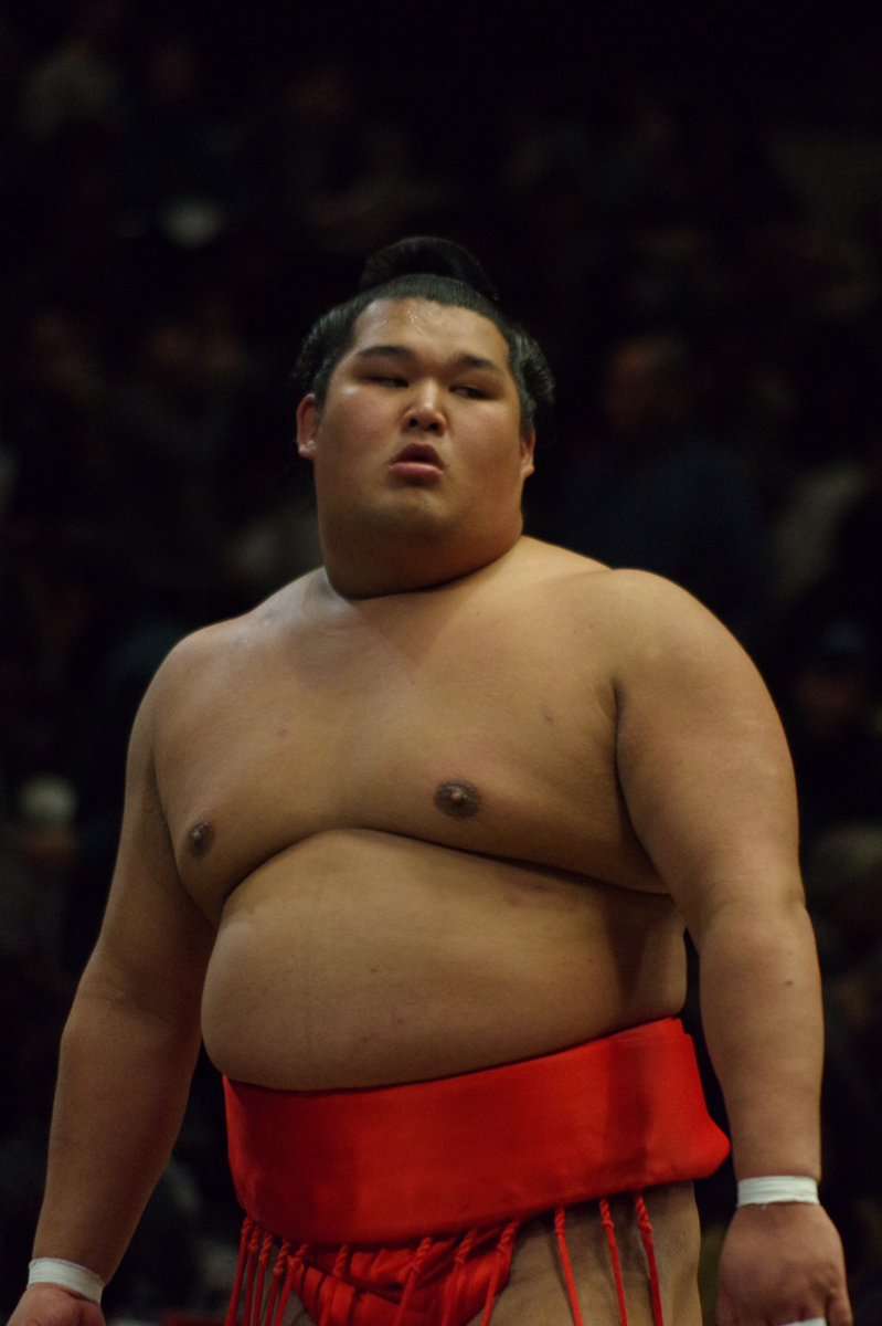 お相撲さんアルバムー年越し編ー