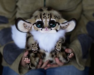 珍獣が集まるトピ