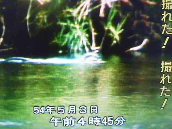珍獣が集まるトピ