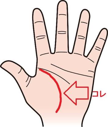 主に何線使っていますか?