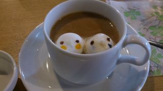 鳥カフェ、オープン！
