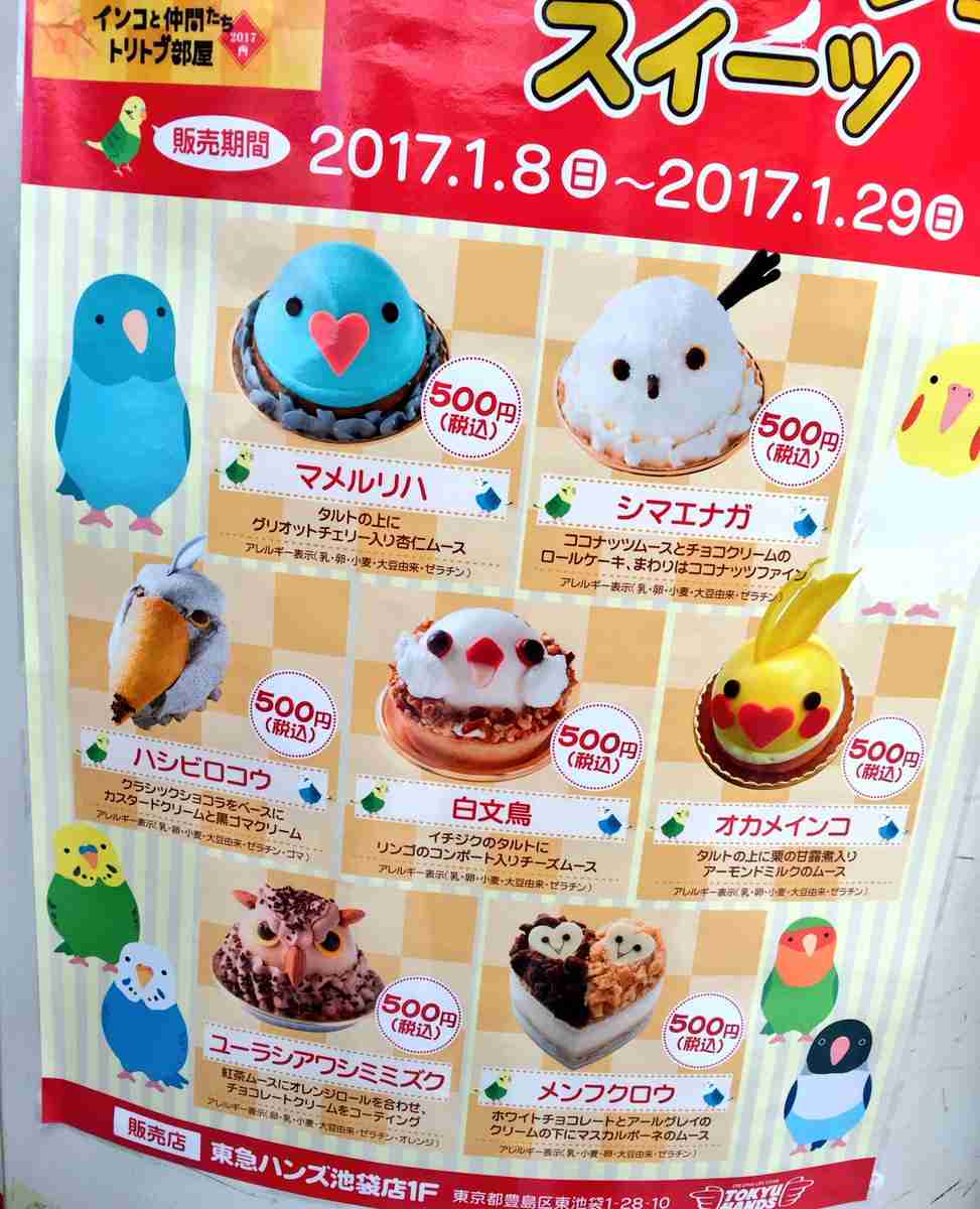 鳥カフェ、オープン！