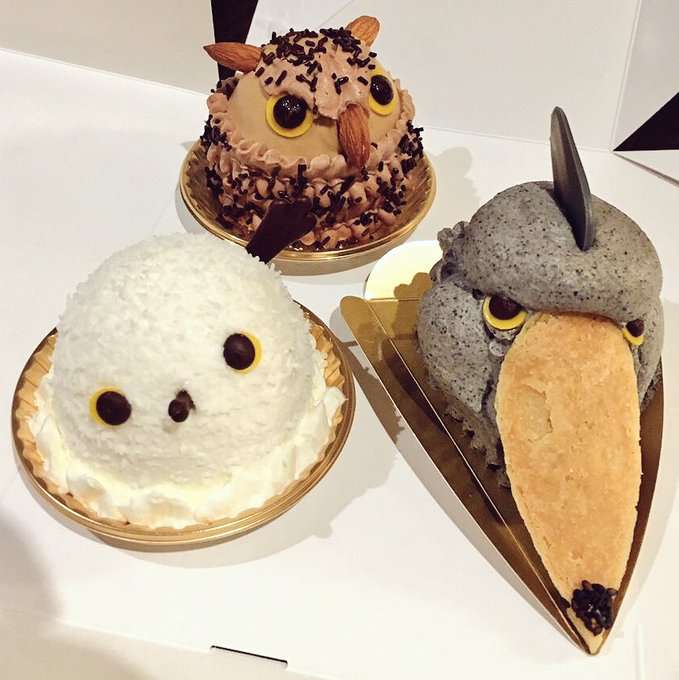 鳥カフェ、オープン！