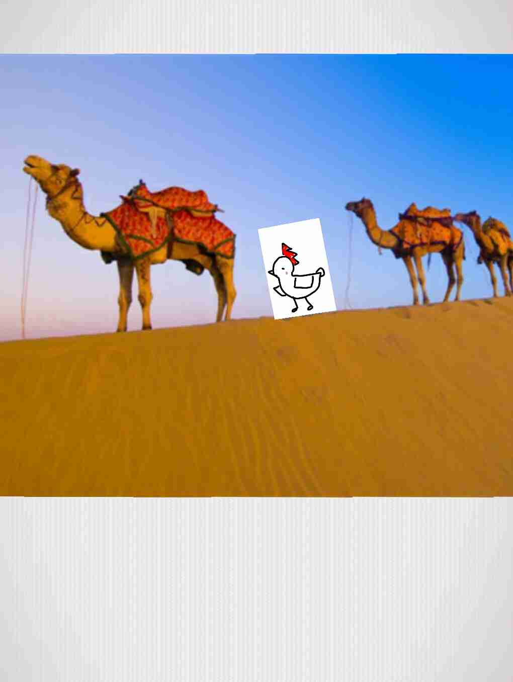 私を旅に連れて行ってください。
