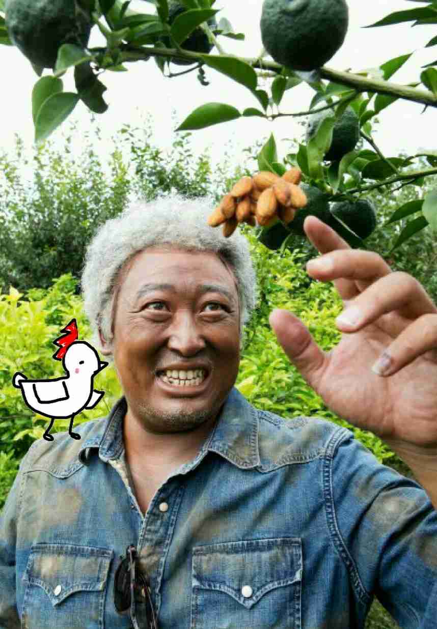 私を旅に連れて行ってください。