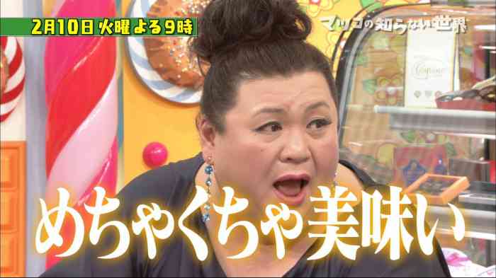 【画像】マツコデラックスのイヤリング