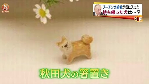 レギュラー食器を見せて下さい♩◎(*´∇｀*)◎