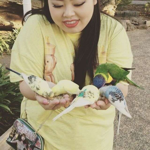 芸能人と動物の写真