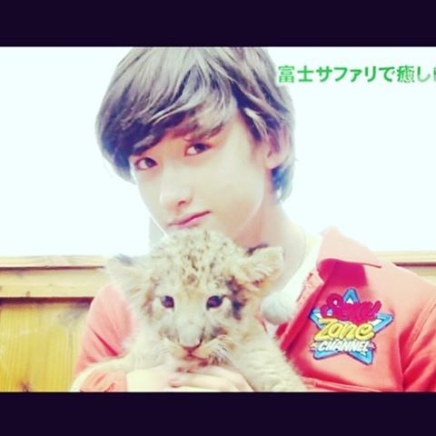 芸能人と動物の写真