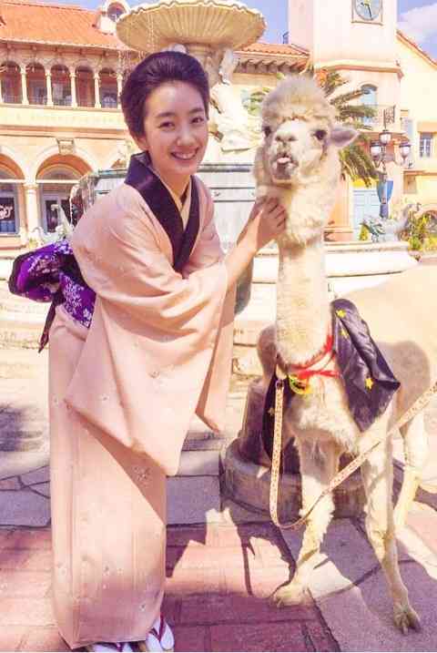 芸能人と動物の写真