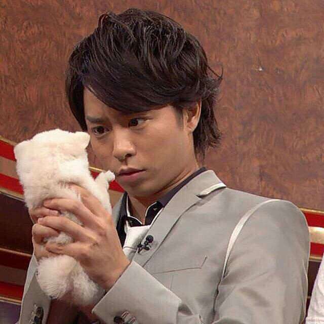 芸能人と動物の写真
