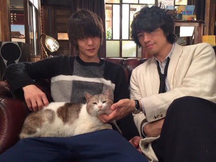 芸能人と動物の写真