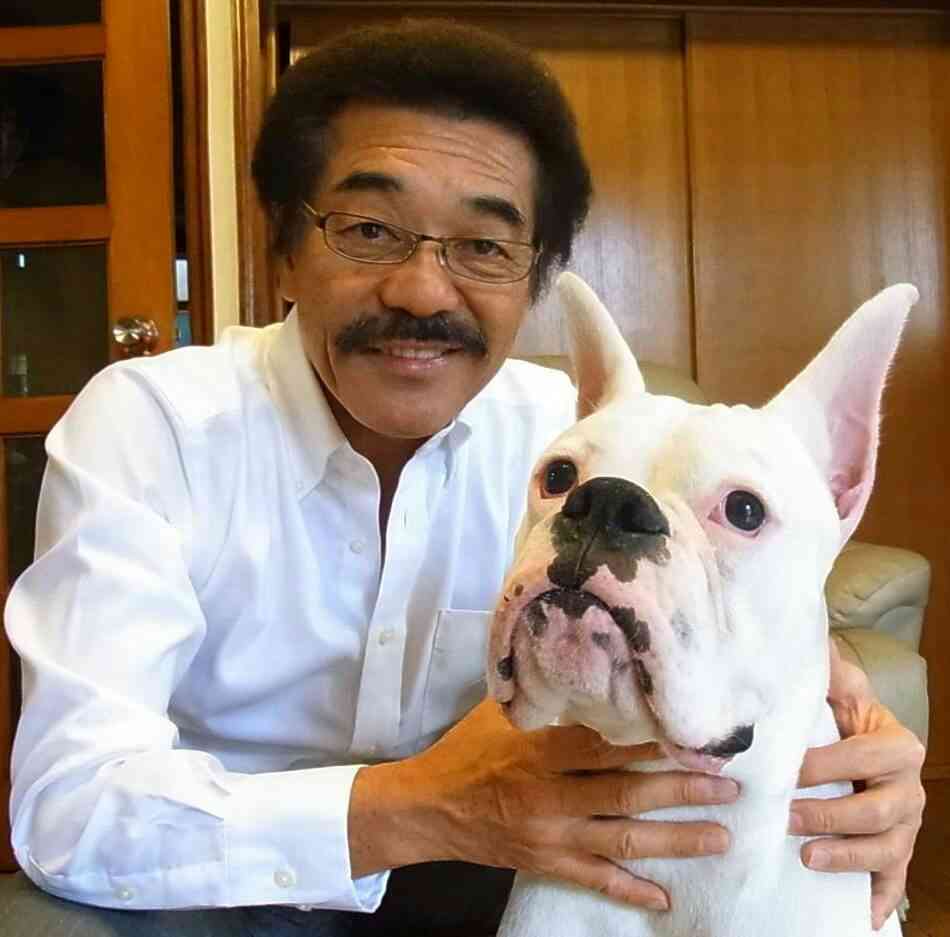 芸能人と動物の写真